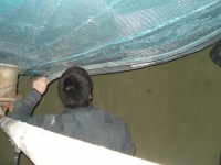 Proteccion Ignifuga (Fireproofing)