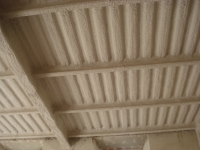 Proteccion Ignifuga (Fireproofing)
