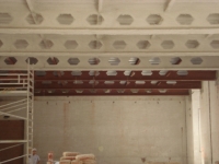 Proteccion Ignifuga (Fireproofing)